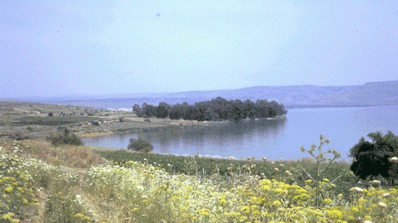 Jezioro Genezaret 